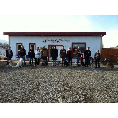 Group Dog Training at Someday Retrievers Kamloops BC